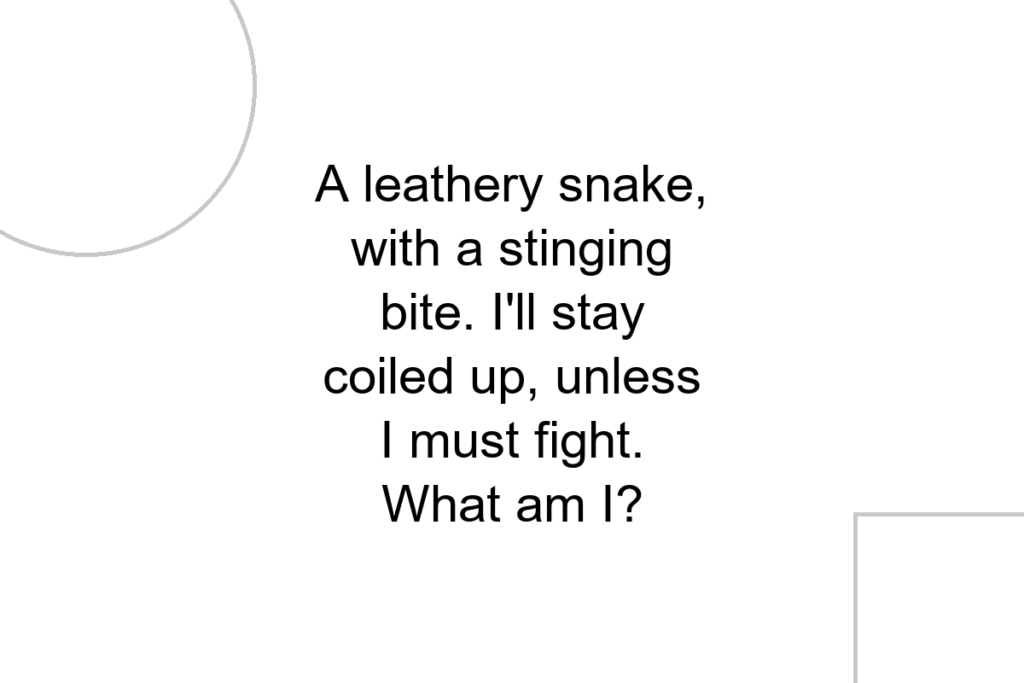A leathery snake, with a stinging bite. I’ll stay coiled up, unless I must fight. What am I?