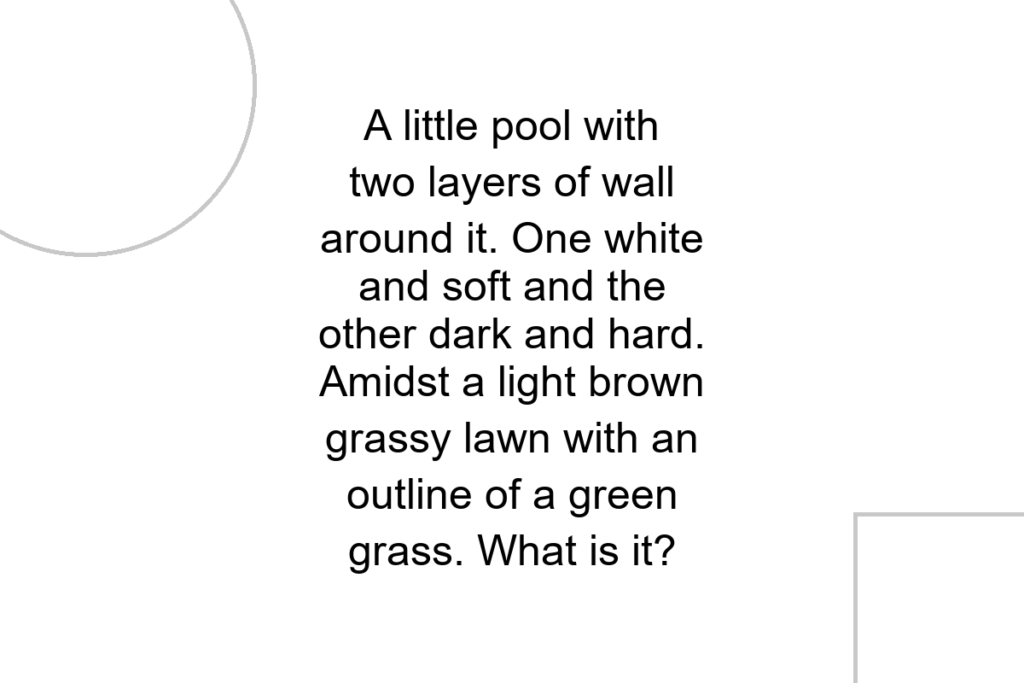 A little pool with two layers of wall around it. One white and soft and the other dark and hard. Amidst a light brown grassy lawn with an outline of a green grass. What is it?