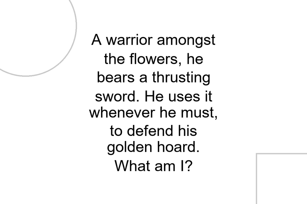 A warrior amongst the flowers, he bears a thrusting sword. He uses it whenever he must, to defend his golden hoard. What am I?