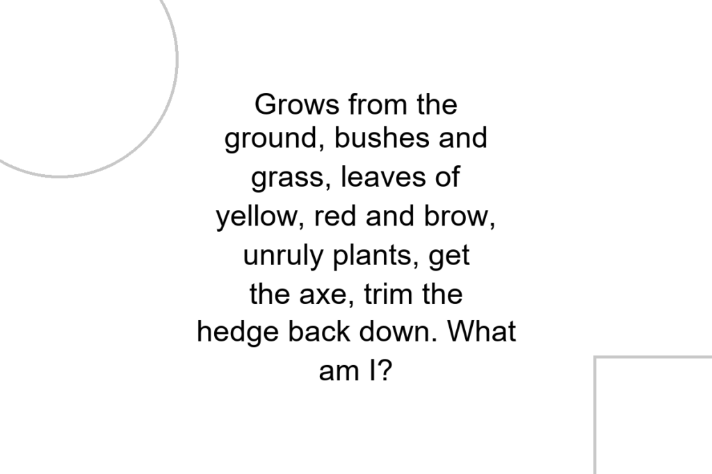 Grows from the ground, bushes and grass, leaves of yellow, red and brow, unruly plants, get the axe, trim the hedge back down. What am I?