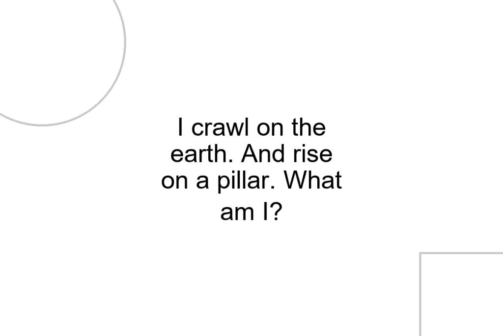 I crawl on the earth. And rise on a pillar. What am I?