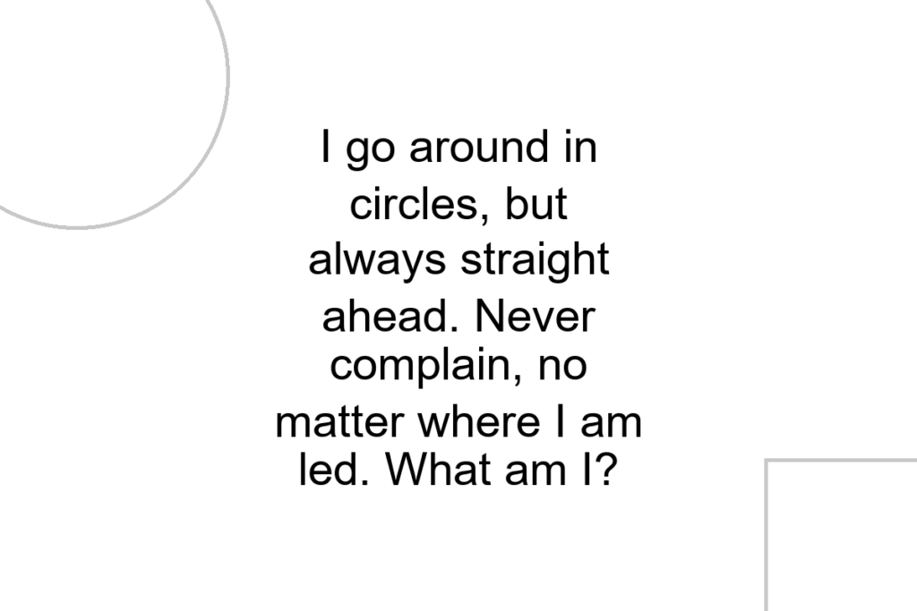 I go around in circles, but always straight ahead. Never complain, no matter where I am led. What am I?