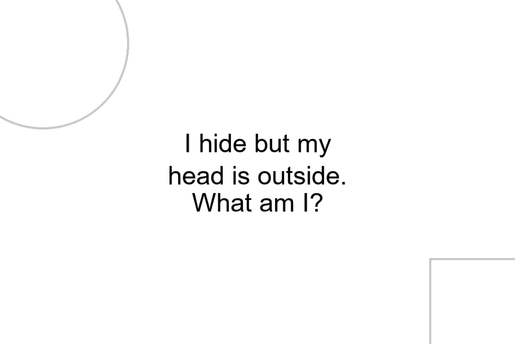 I hide but my head is outside. What am I?