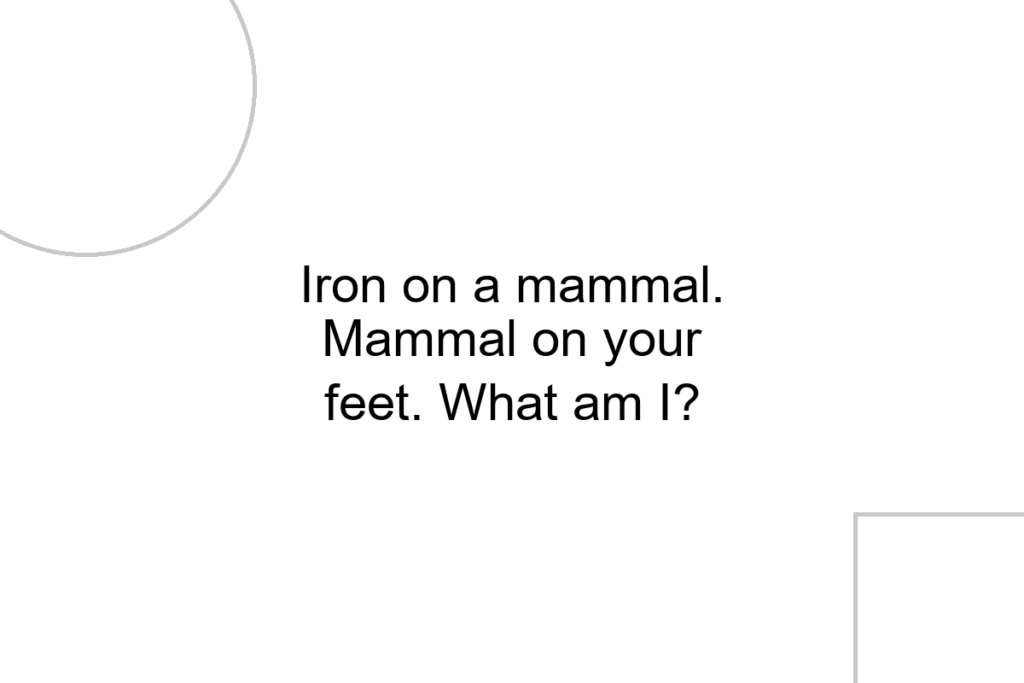 Iron on a mammal. Mammal on your feet. What am I?