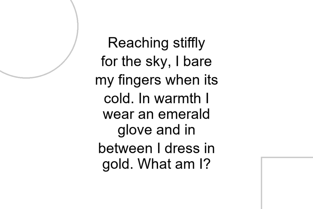 Reaching stiffly for the sky, I bare my fingers when its cold. In warmth I wear an emerald glove and in between I dress in gold. What am I?
