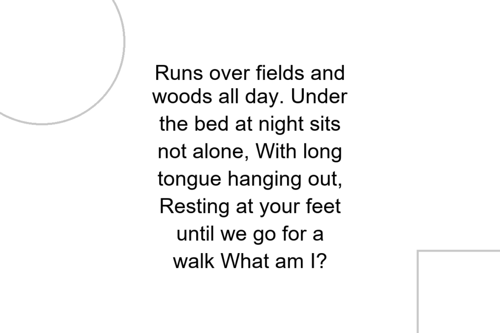 Runs over fields and woods all day. Under the bed at night sits not alone, With long tongue hanging out, Resting at your feet until we go for a walk What am I?