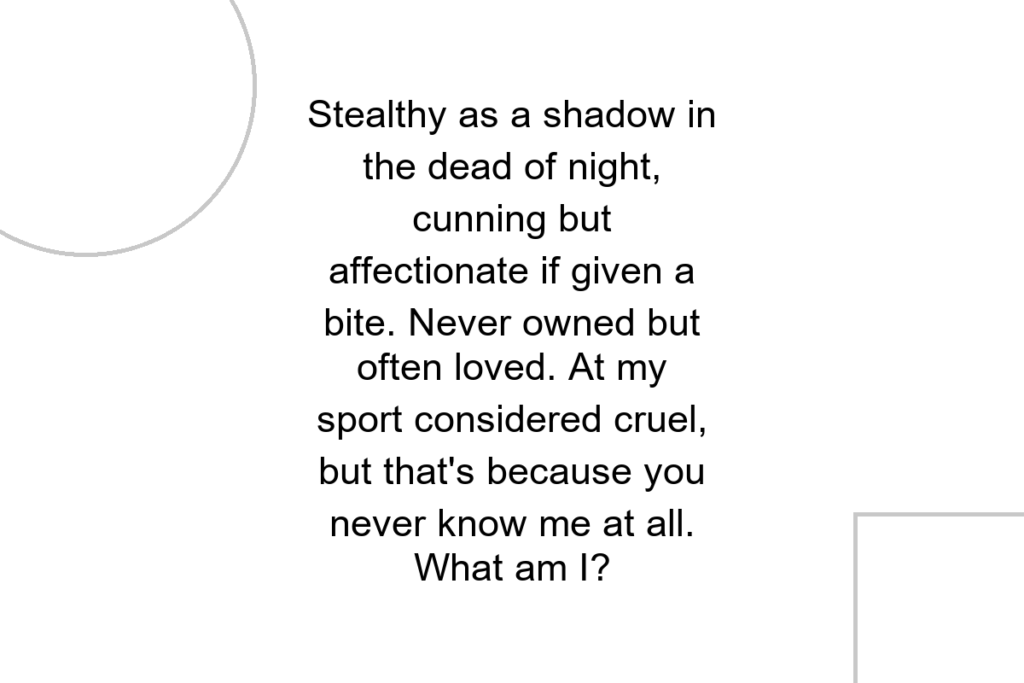 Stealthy as a shadow in the dead of night, cunning but affectionate if given a bite. Never owned but often loved. At my sport considered cruel, but that’s because you never know me at all. What am I?