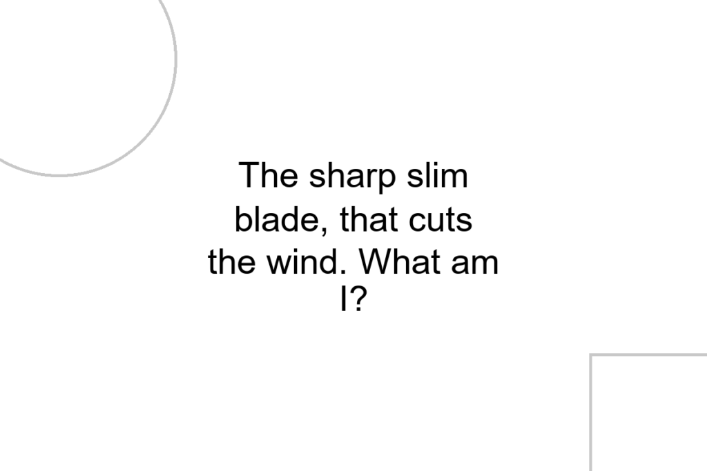 The sharp slim blade, that cuts the wind. What am I?