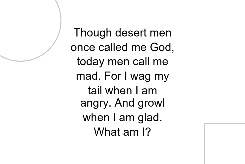 Though desert men once called me God, today men call me mad. For I wag my tail when I am angry. And growl when I am glad. What am I?