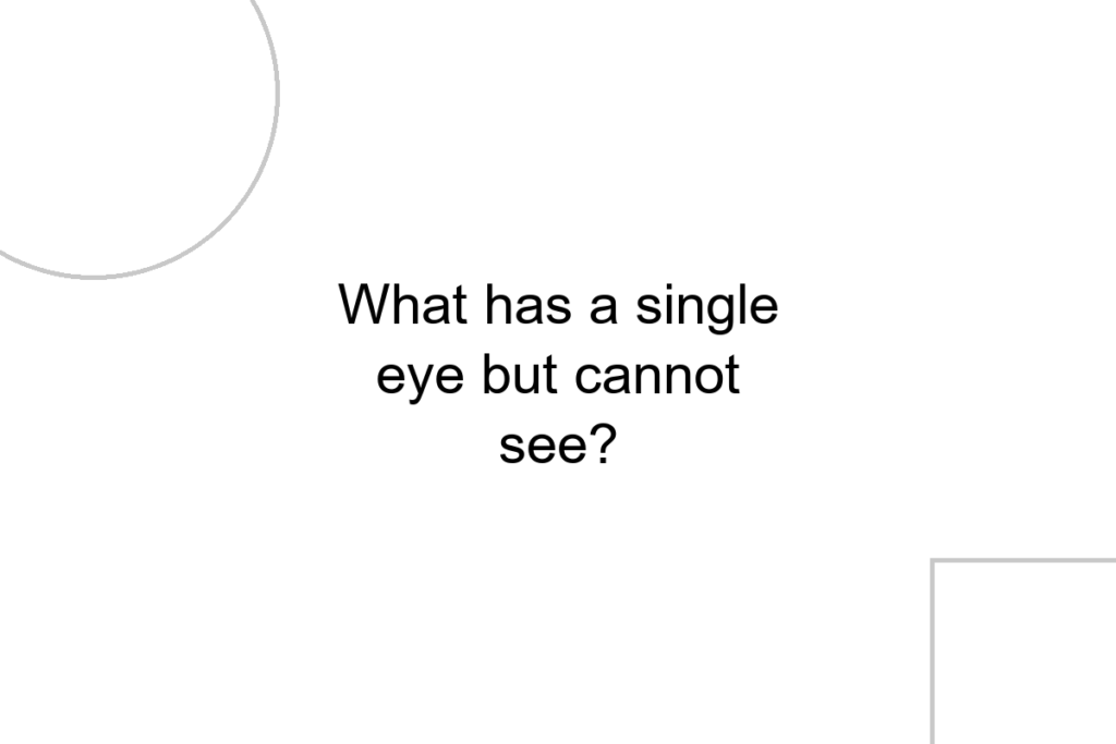 What has a single eye but cannot see?