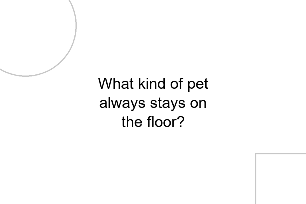 What kind of pet always stays on the floor?