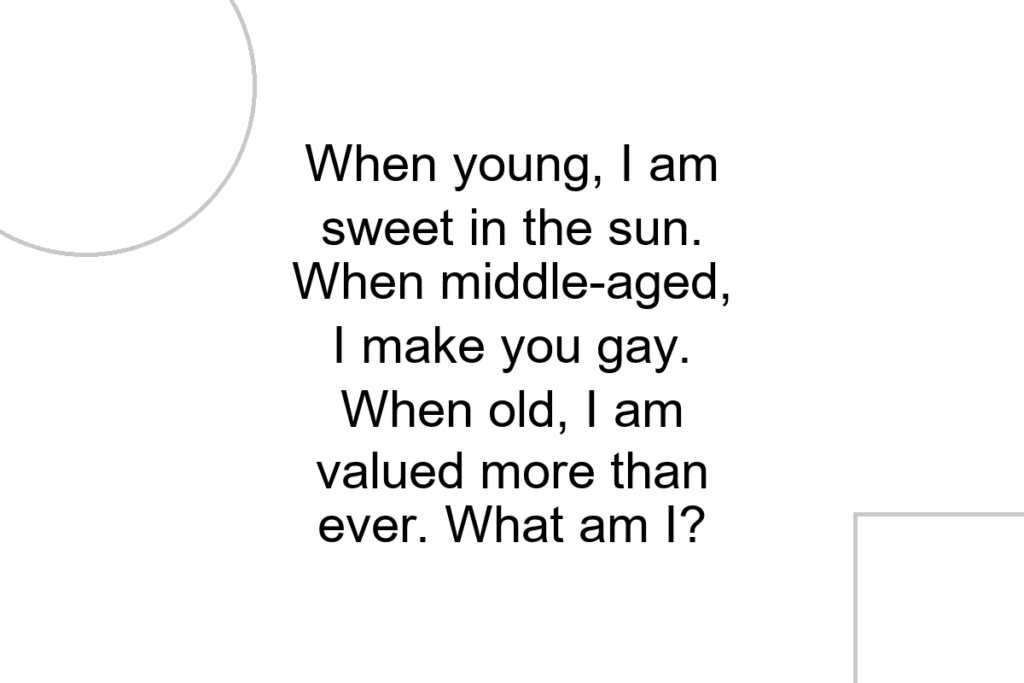 When young, I am sweet in the sun. When middle-aged, I make you gay. When old, I am valued more than ever. What am I?