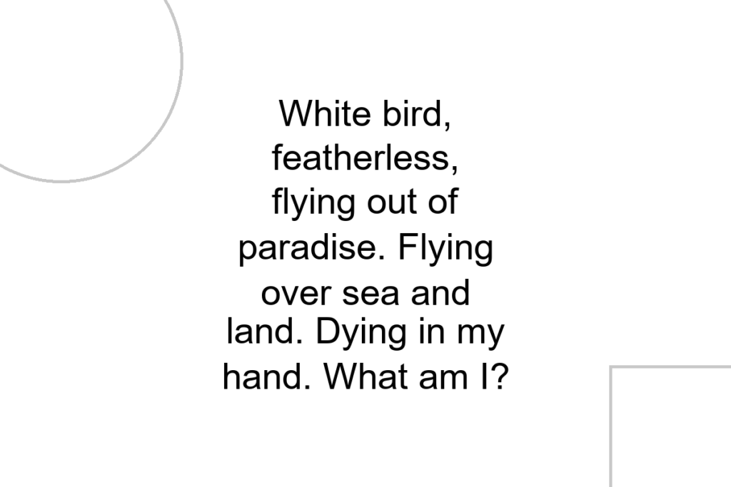 White bird, featherless, flying out of paradise. Flying over sea and land. Dying in my hand. What am I?