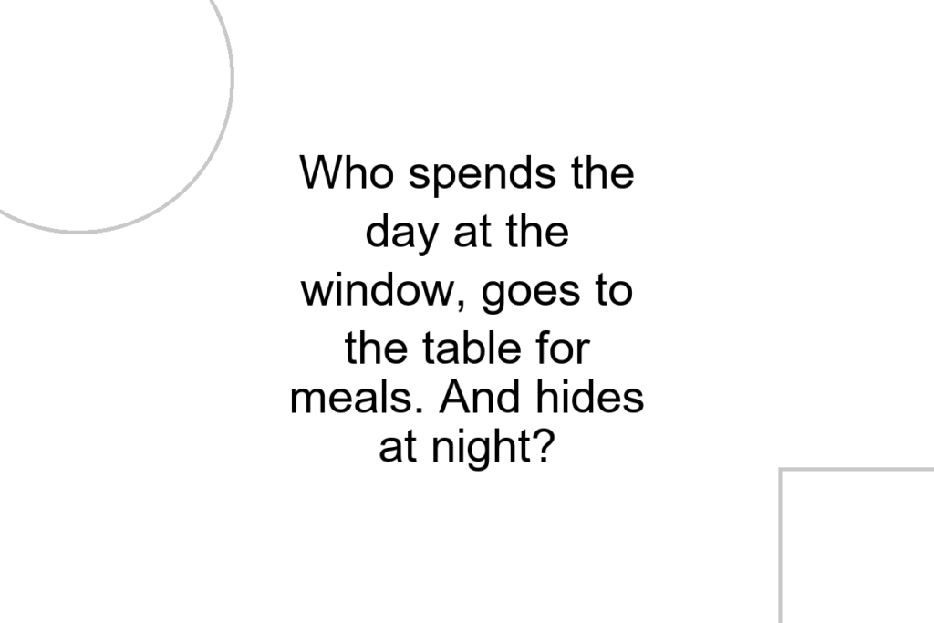 Who spends the day at the window, goes to the table for meals. And hides at night?